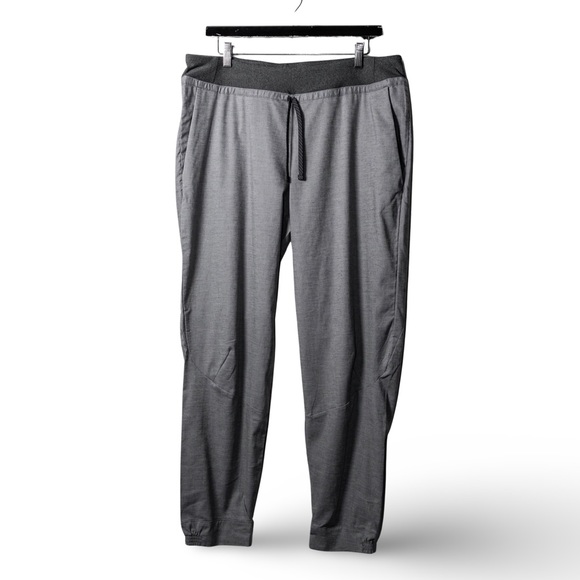 NWT: PATAGONIA Women’s Hampi Rock Pants; Large - Picture 1 of 14